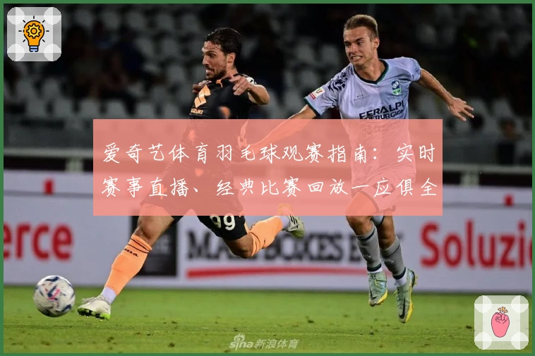 爱奇艺体育羽毛球观赛指南：实时赛事直播、经典比赛回放一应俱全
