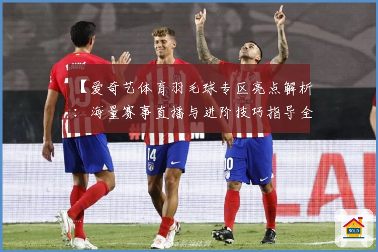 【爱奇艺体育羽毛球专区亮点解析：海量赛事直播与进阶技巧指导全体验】